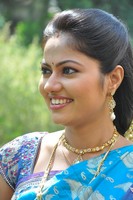 Suhasini Saree Photos